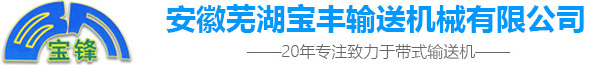 江南·(中国)体育官方网站常见的故障问题有哪些-芜湖宝丰输送机械